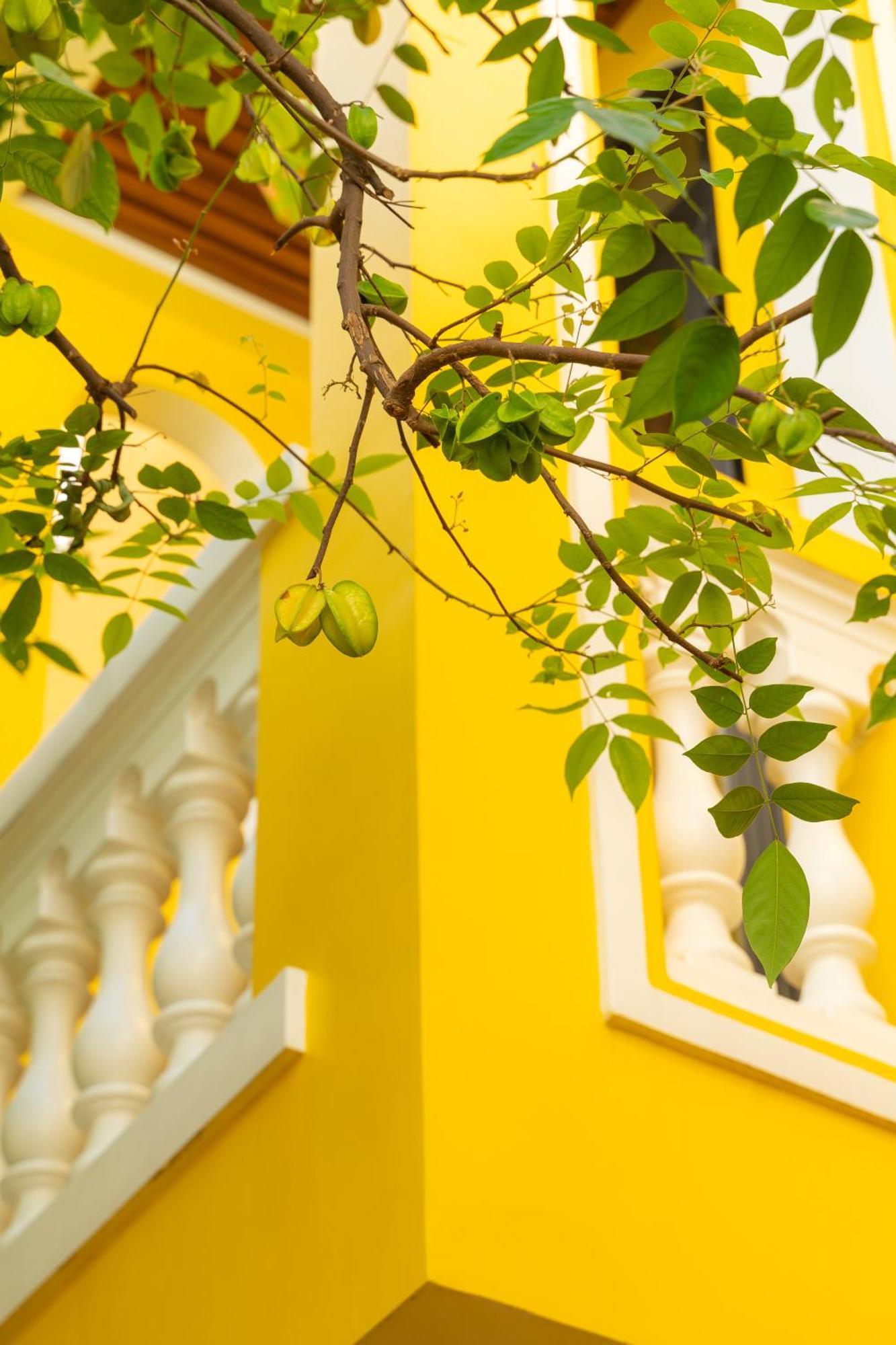 Quyen'S House Homestay Hoi An Esterno foto